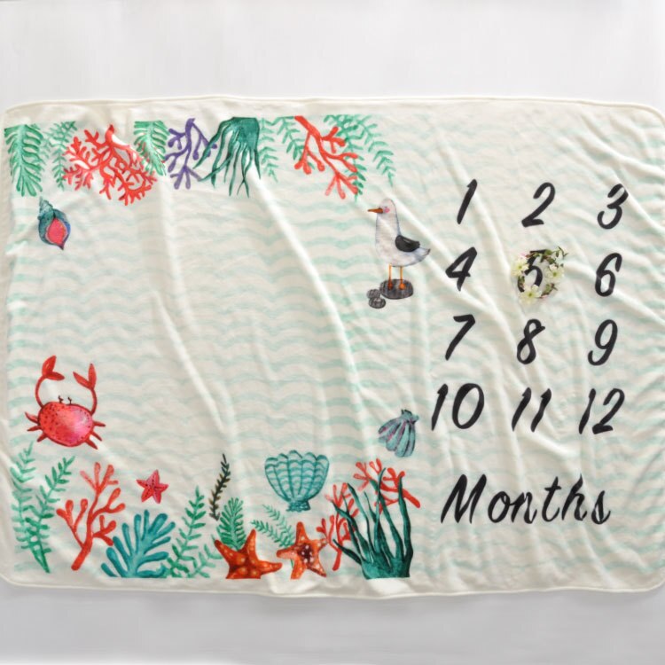 Monthly Milestone Blanket Photography Prop